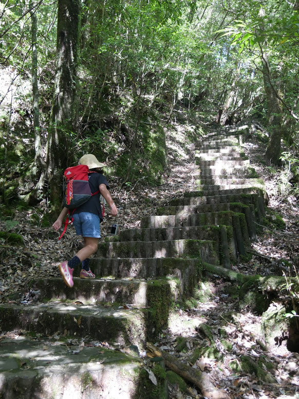 白谷雲水峡 登りが続く場所もあります。