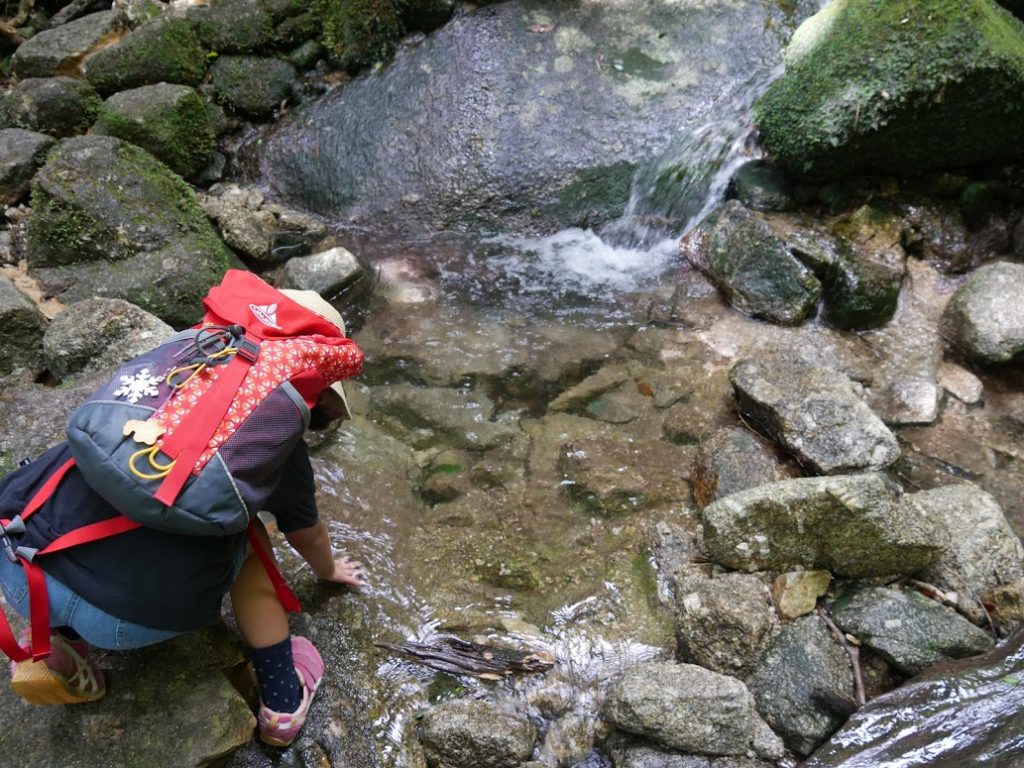 暑かったので沢水に大はしゃぎ