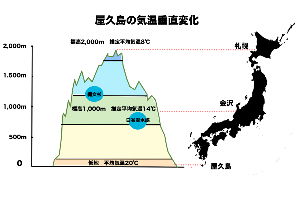 屋久島気温垂直変化