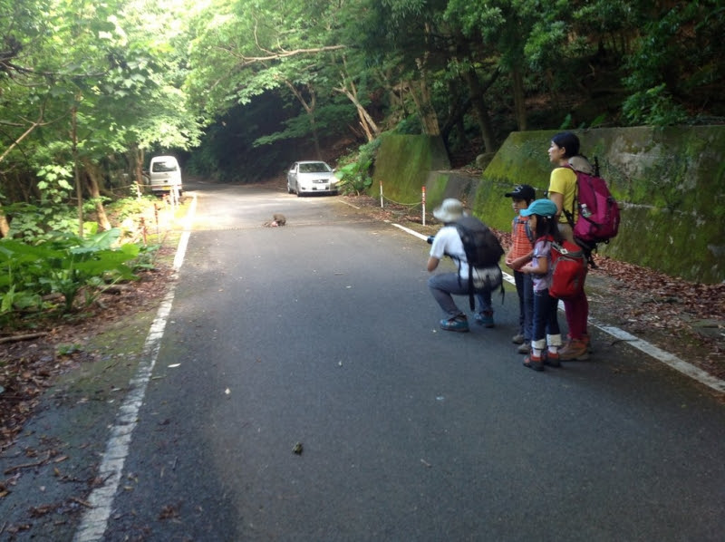 屋久島　西部林道