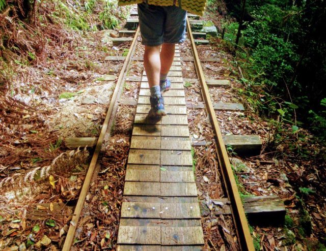 屋久島　縄文杉トレッキン　トロッコ道