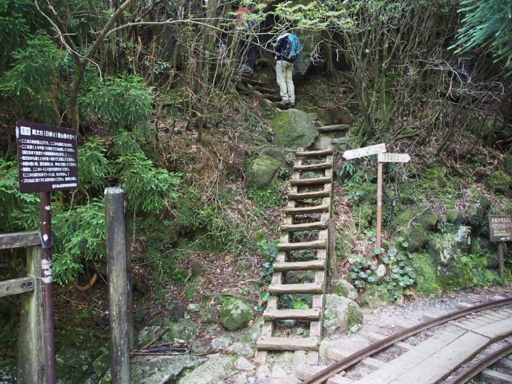 屋久島　大株歩道入り口