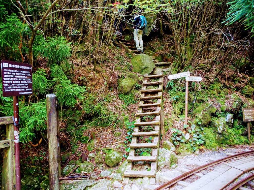 トロッコ道終点　大株歩道入口