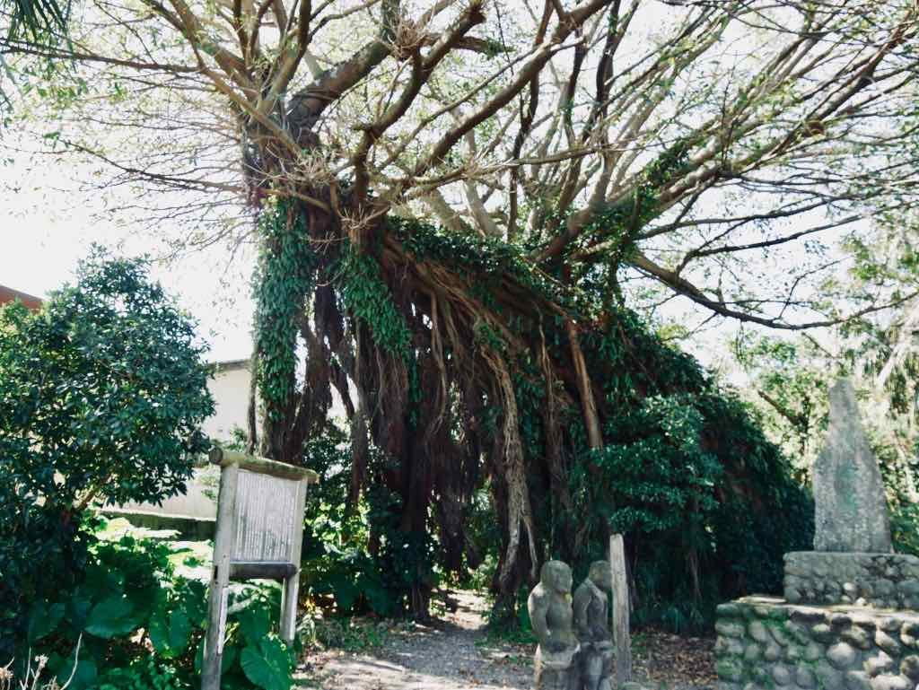 屋久島 益救神社　仁王像　並んだ仁王像は珍しい