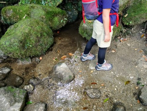 できるだけトレッキングシューズを