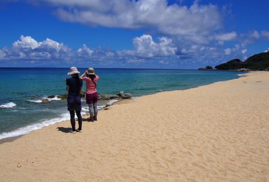 屋久島 いなか浜