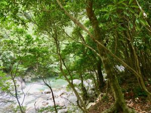 大川が横を流れます。