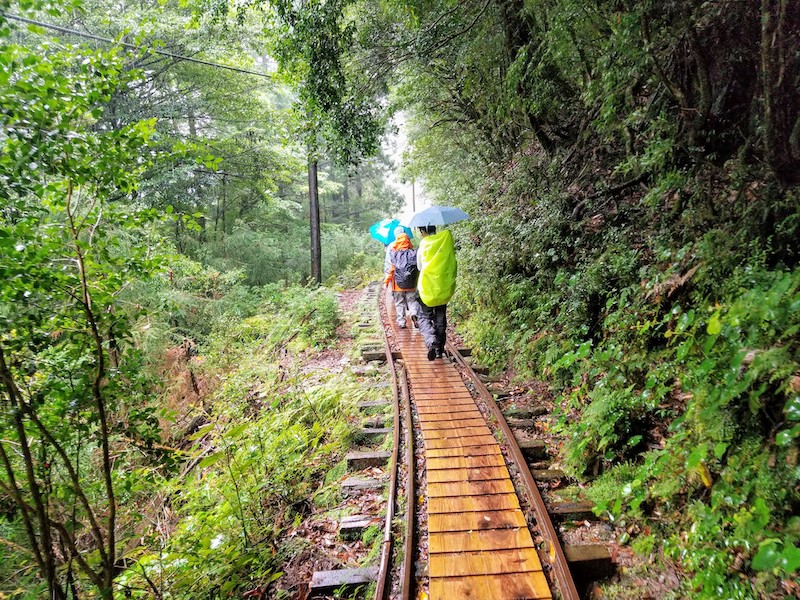 屋久島 縄文杉トレッキングコース