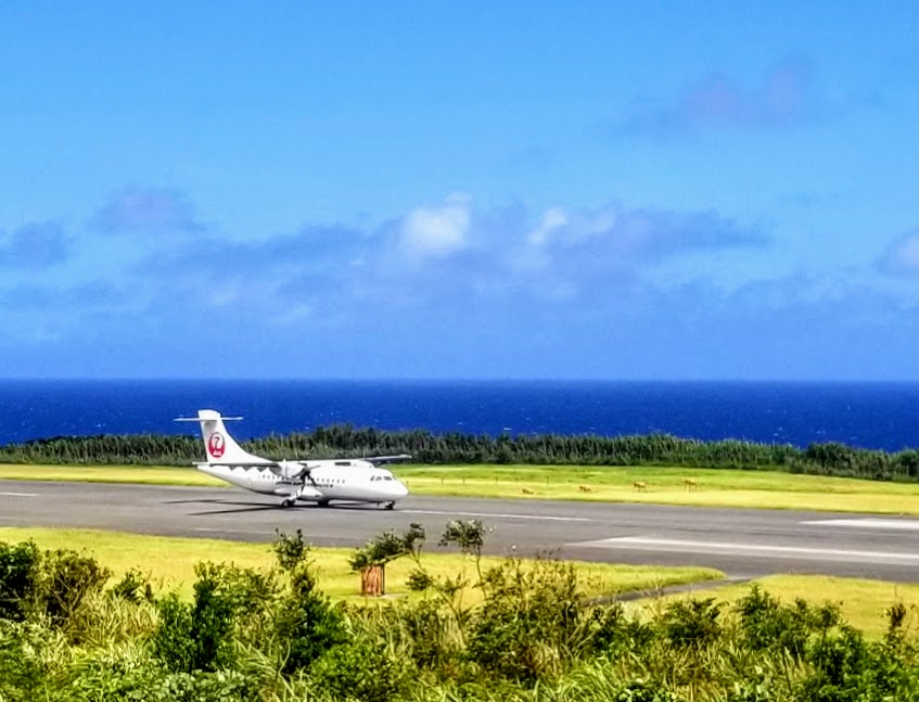 屋久島空港　JAL