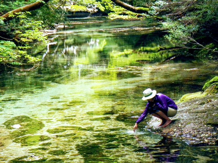 屋久島　淀川