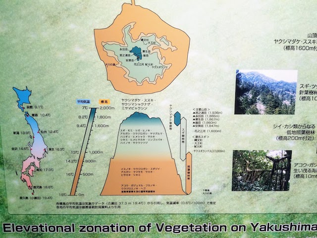 屋久島環境文化村センター