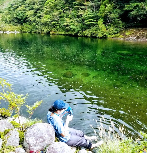 縄文杉トレッキングコース 途中安房川