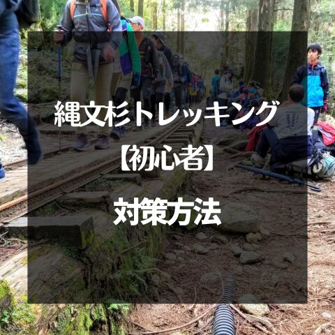 縄文杉トレッキングの「きつい」を解決！初心者の体力対策と準備
