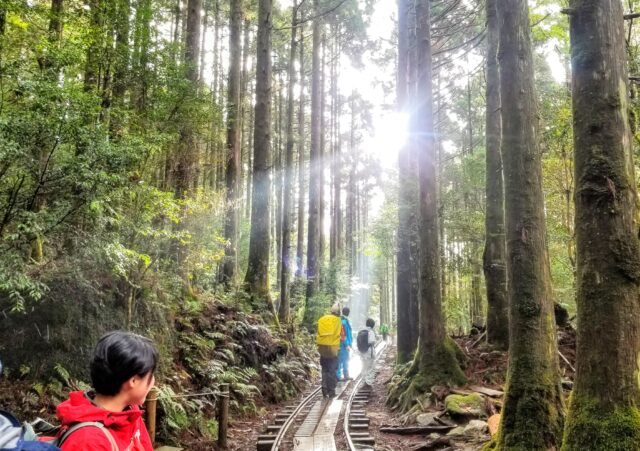 屋久島 縄文杉トレッキングコース