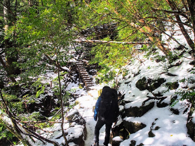 屋久島 縄文杉トレッキングコース 冬の積雪時