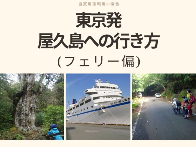 屋久島からフェリーを利用して自家用車での行き方をご紹介します。