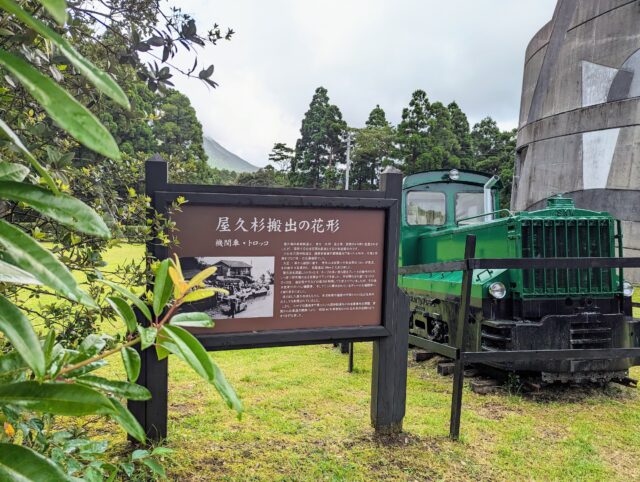 屋久杉を山から搬出するために使われたトロッコ