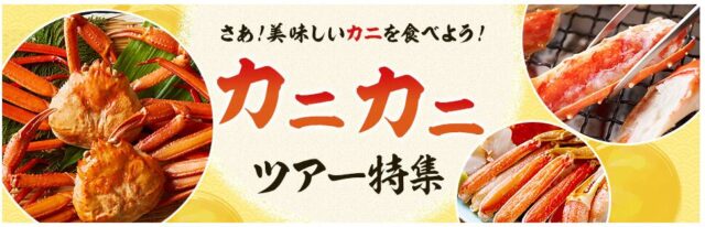 画像に alt 属性が指定されていません。ファイル名: image-228-15.jpg