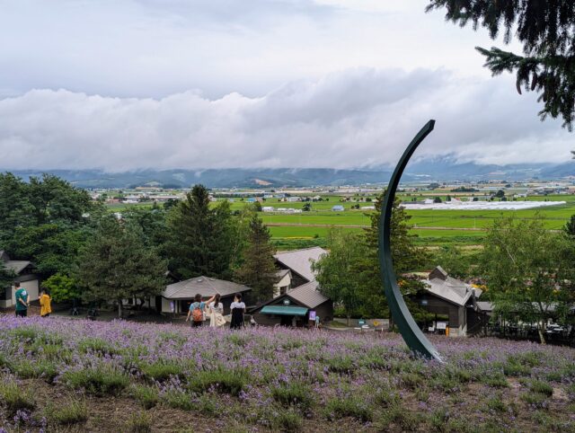 北海道 富良野 ラベンダー園