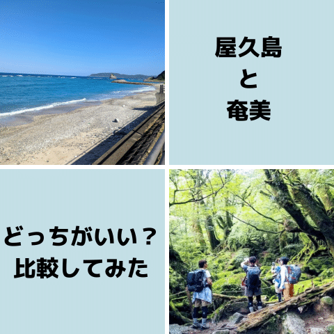 屋久島と奄美大島の違いを体験比較｜行き方と周遊モデルコース