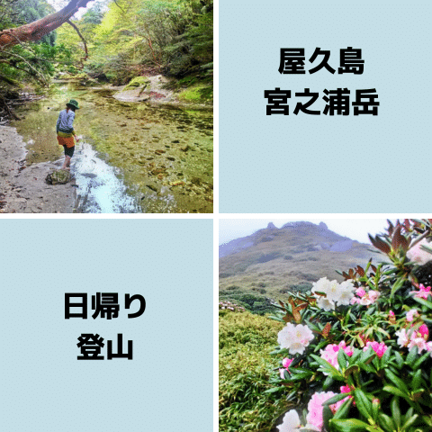 宮之浦岳の日帰り登山｜難易度・モデルコースと初心者の準備
