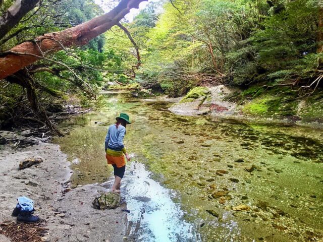 登山口から1時間ほどで着く淀川
