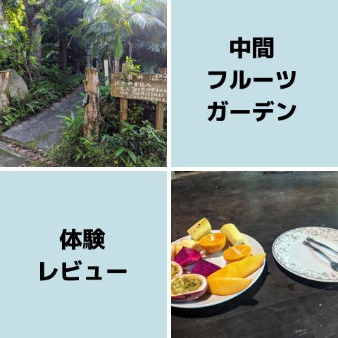 体験談レビュー仲間フルーツガーデン