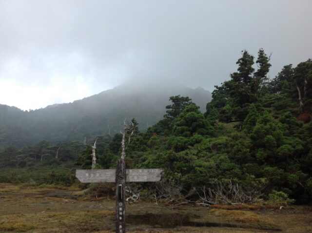雲がかかった花之江河の湿原と道標