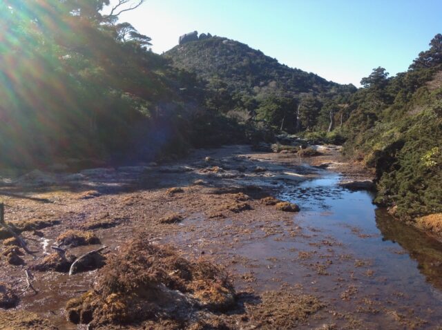 浅い流れのある湿原と、奥の山の上の豆腐岩