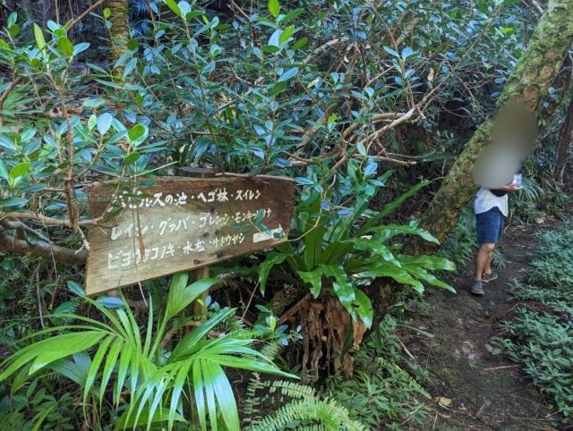 園内の見どころを並べた木の案内板