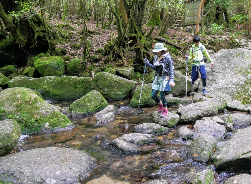 屋久島トレッキングの服装 縄文杉 白谷 ヤクスギランド 季節と山の気温からご紹介 屋久島ファン