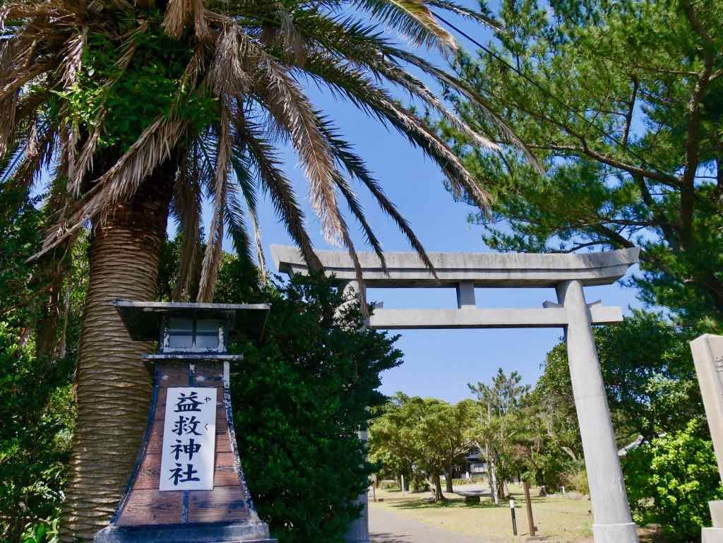 屋久島 益救神社　入口鳥居　神社にソテツの木が！南島っぽい