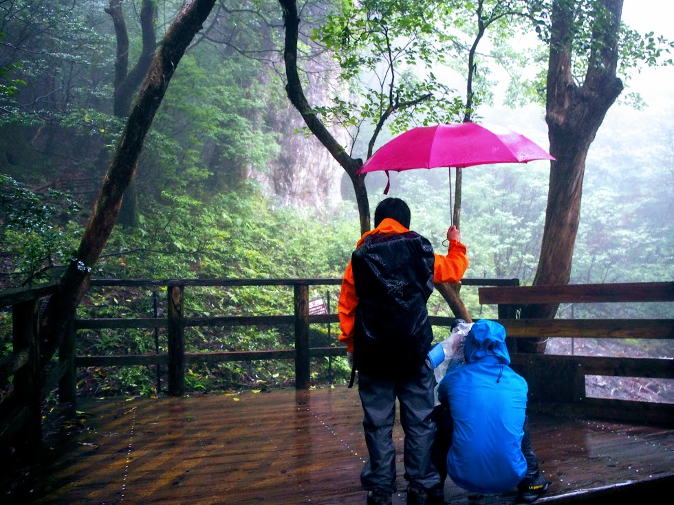 雨の中の縄文杉