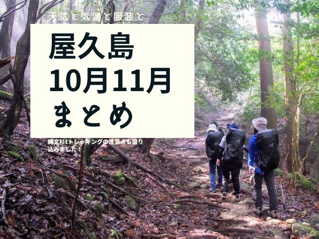 屋久島の10月、11月について、観光や気温、天気、縄文杉トレッキング、服装などについてご紹介します。