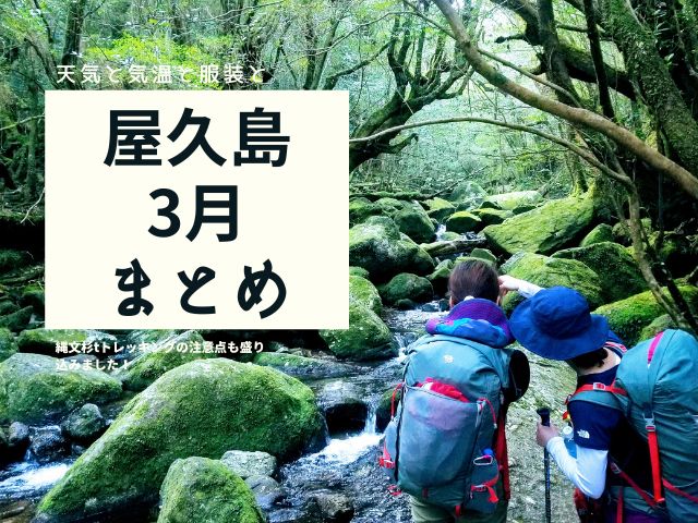 屋久島の3月の「おすすめ観光とツアー」気温や服装もまとめてご紹介！