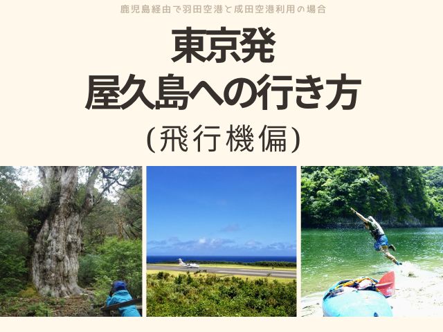 東京から屋久島へ行くために「一番効率的である」鹿児島経由での行き方をご案内します。