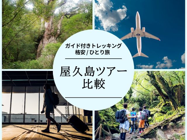 2023屋久島ツアーにおすすめ7社比較（旅行の時期/ガイド付き