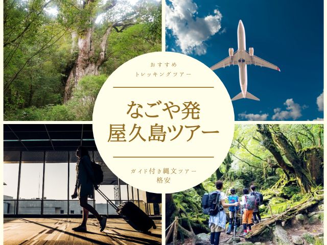 こちらでは、名古屋エリア出身＆屋久島在住の筆者が、屋久島ツアー選びのコツを織り交ぜながら、屋久島のおすすめツアーをご紹介します。